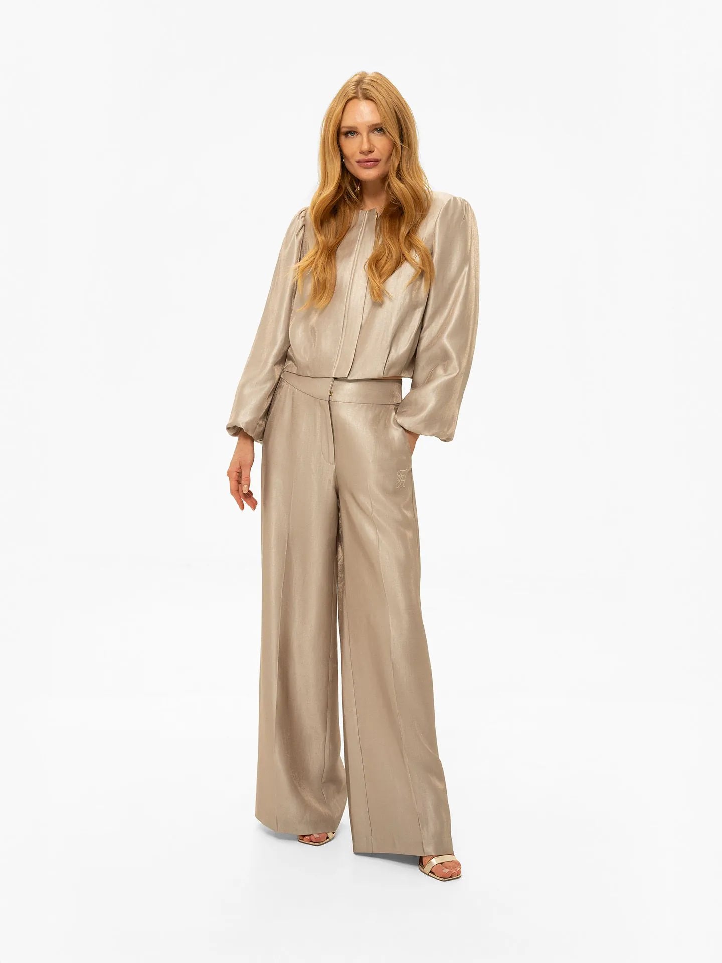 Pantalon brillant MANOUK - Gris plume